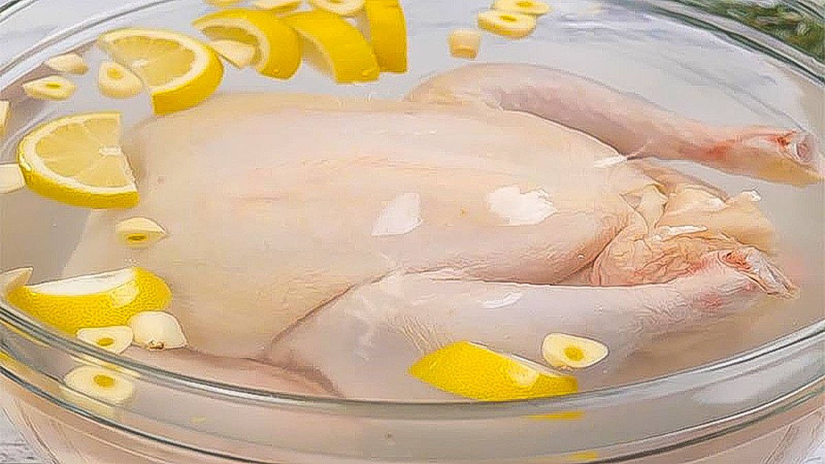 thiết kế chuồng nuôi gà đá thiết kế chuồng nuôi gà đá